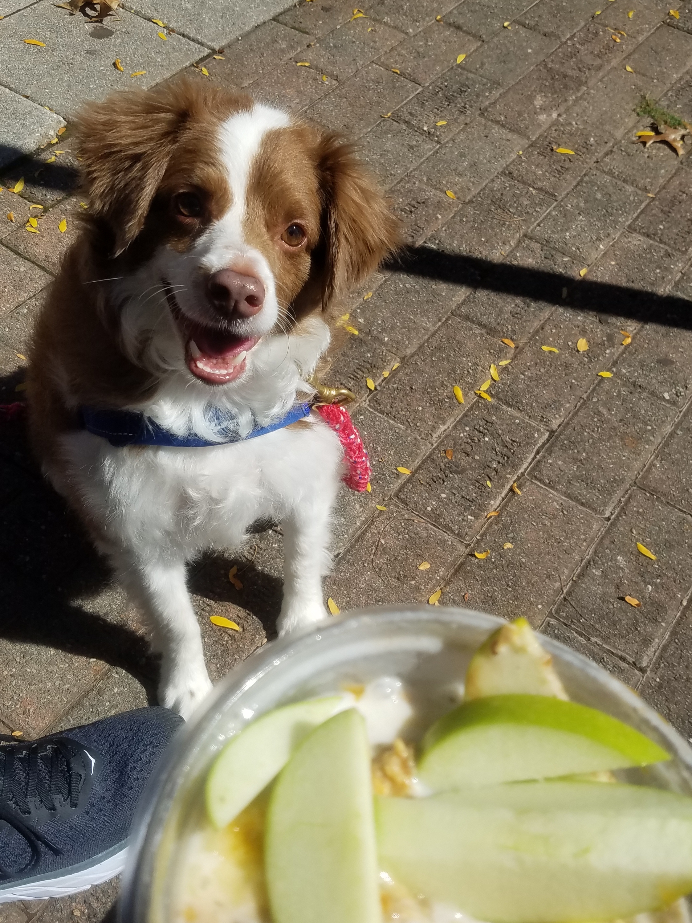 Donni with apples
